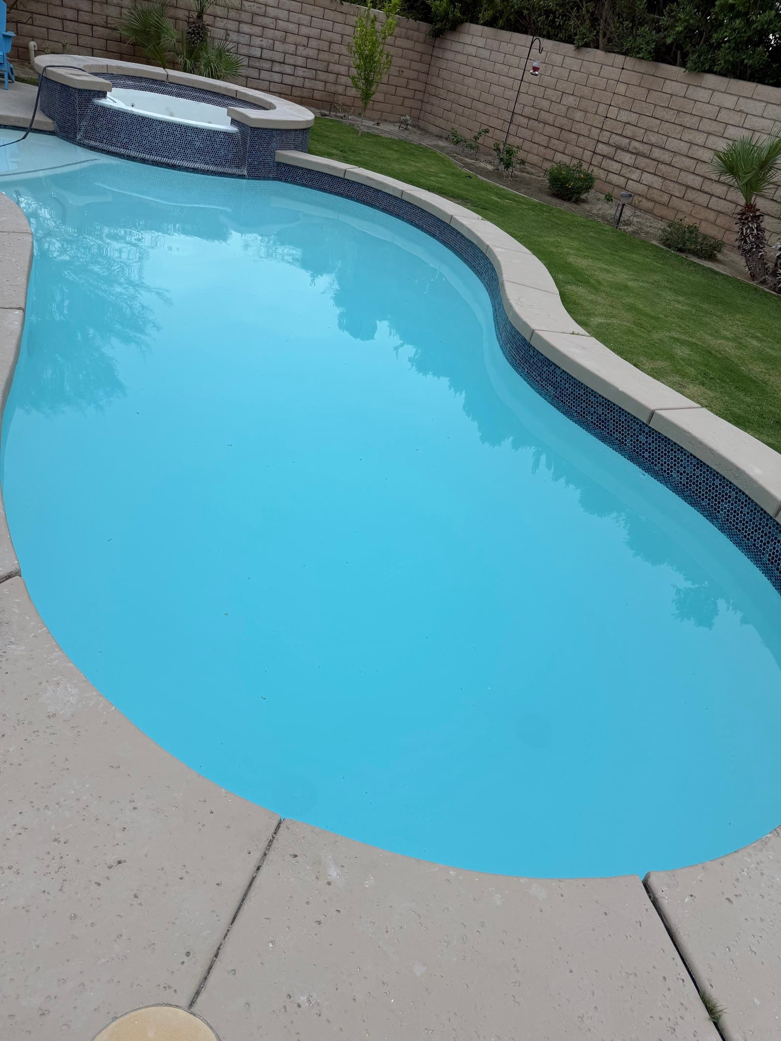 Weekly Pool Cleaning photo 1