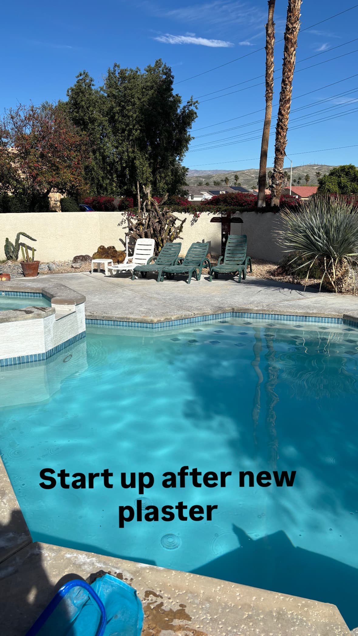 Weekly Pool Cleaning photo 5